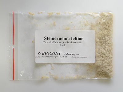 Steinernema feltiae - parazitické hlístice od firmy Biocont Steinernema feltiae - parazitické hlístice od firmy Biocont